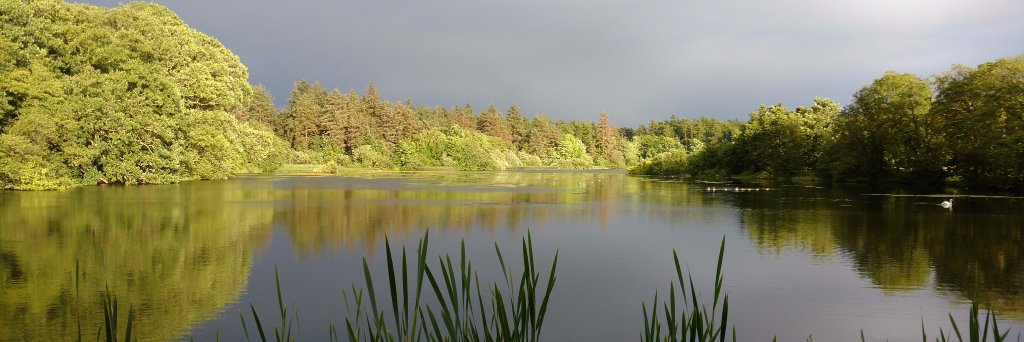 jodyblom1's profile banner image