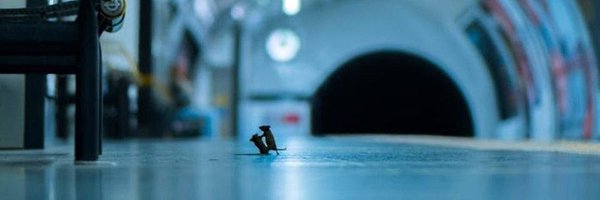 effbev Profile Banner