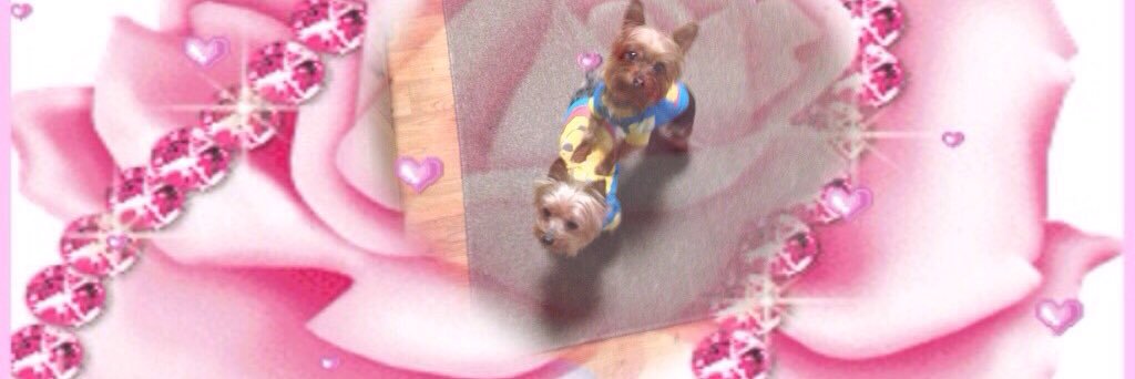 HowellDreama's profile banner image