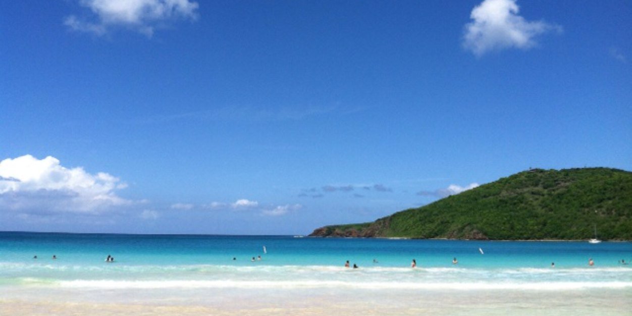 Annie Medina-Walpole banner