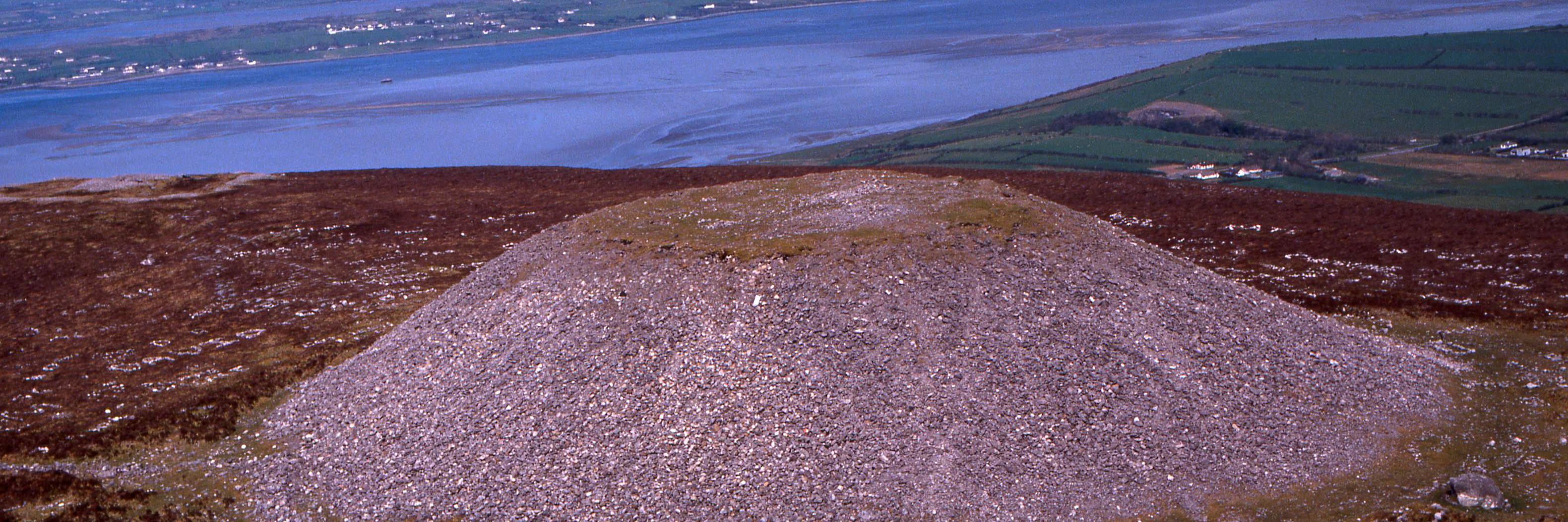 carty_michael's profile banner image