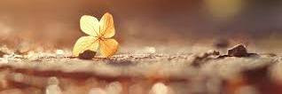 apriljoycluce's profile banner image