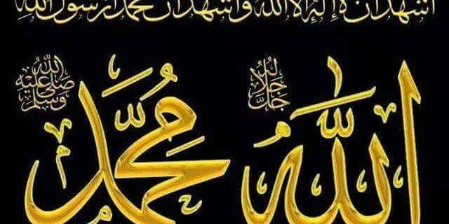 halimtullah's profile banner image