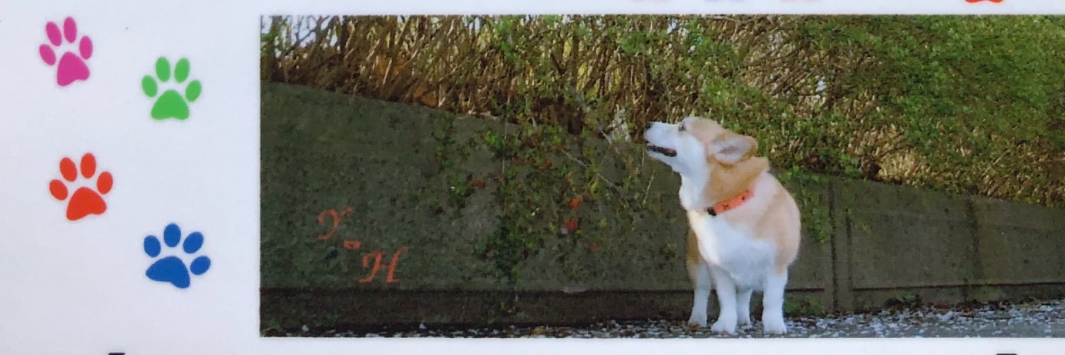 luoe_luoce's profile banner image