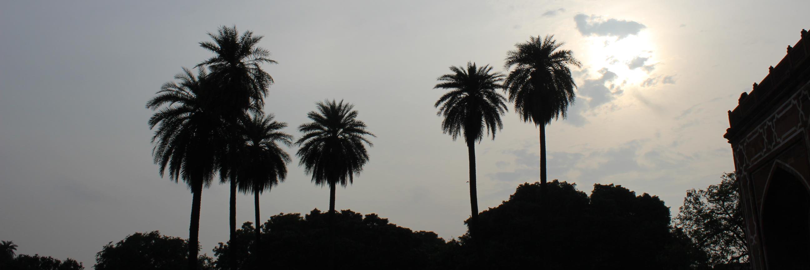 pranjit679's profile banner image