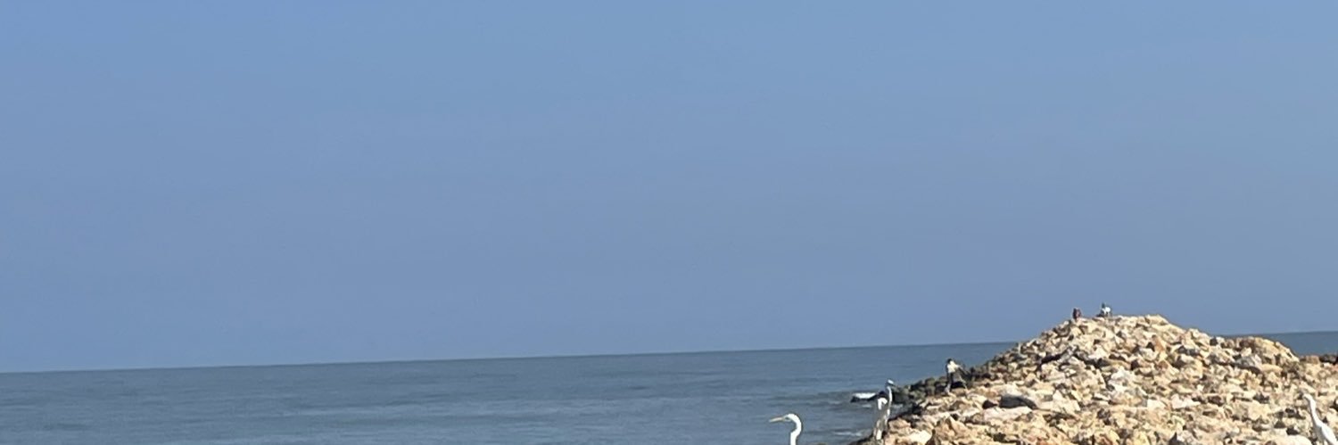 luisga's profile banner image