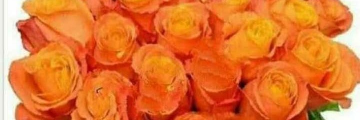 Nripendra1Kumar's profile banner image