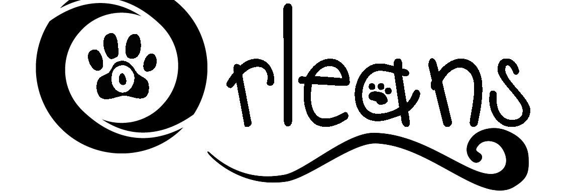 Orleans Organizer banner