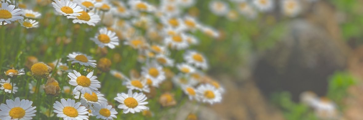 e7266's profile banner image
