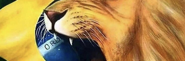 LETOSANDER's profile banner image