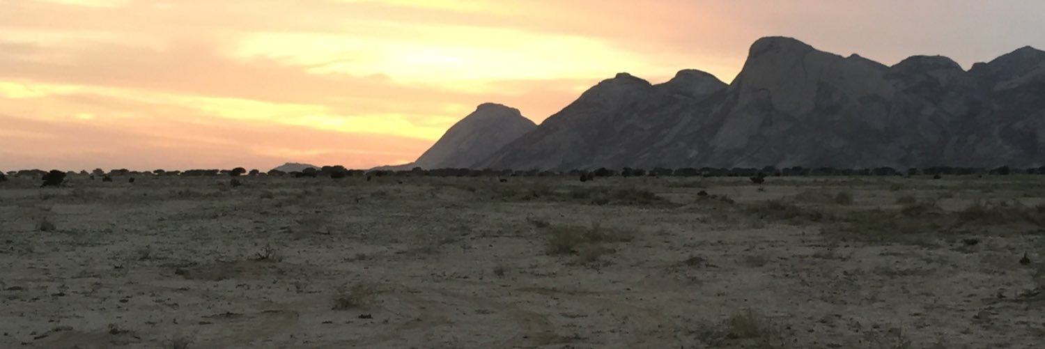 turki1969's profile banner image