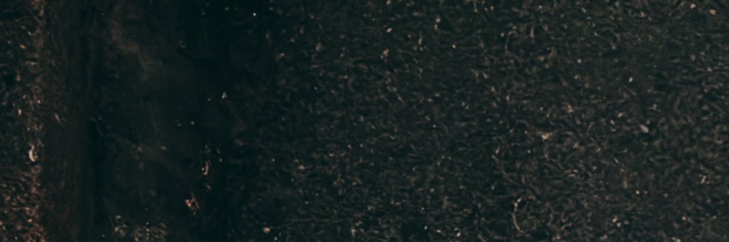 ZYigerem's profile banner image