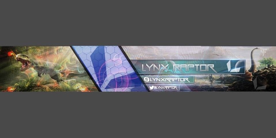 LynX Raptor banner