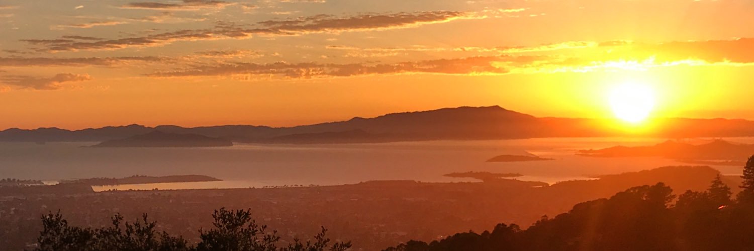 yooris's profile banner image