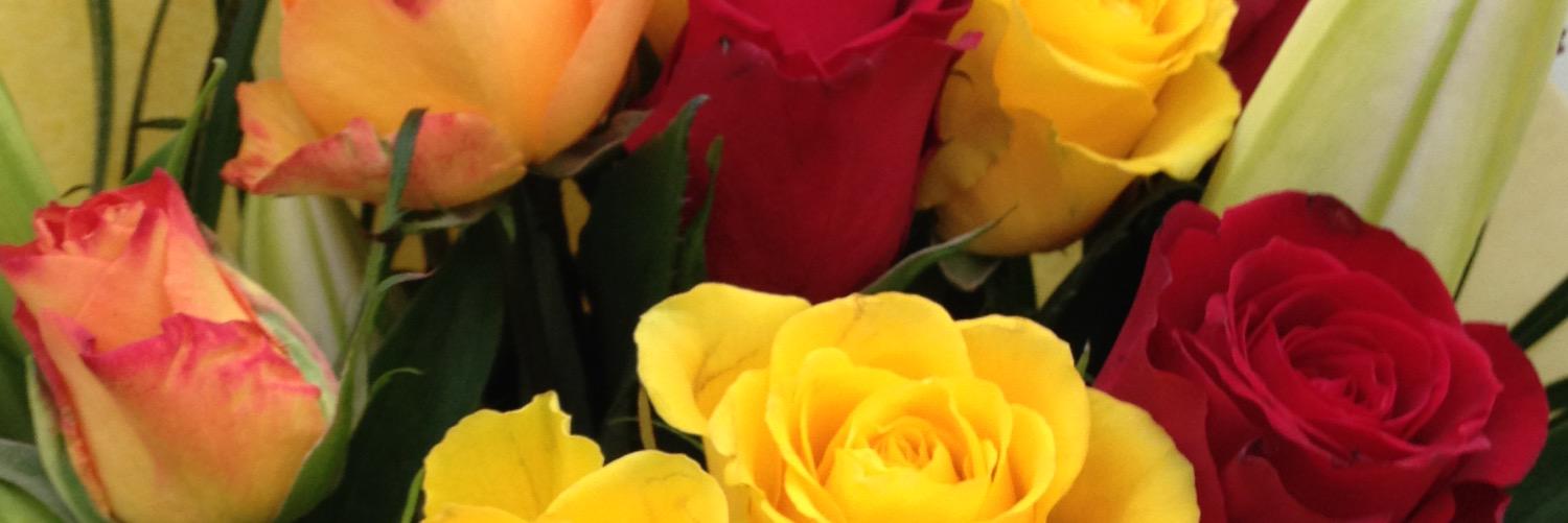 tidyiam's profile banner image