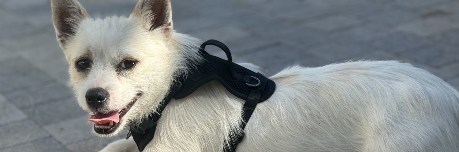 OG_Fox1978's profile banner image