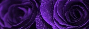 mesosassy's profile banner image