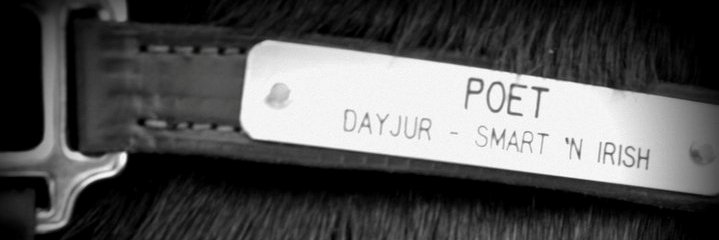 AmyJHarrison's profile banner image