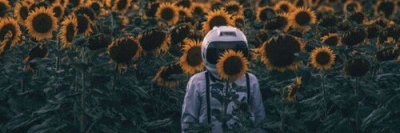 kedek_'s profile banner image