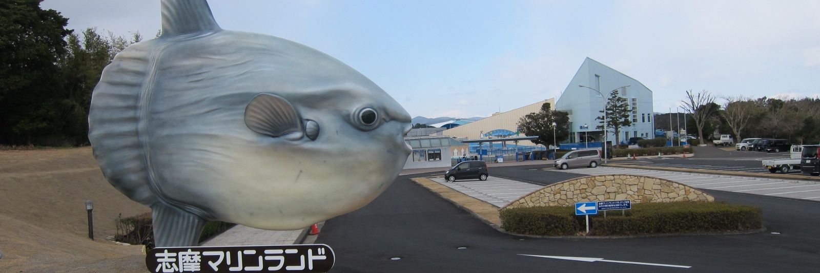 24Sunfish's profile banner image