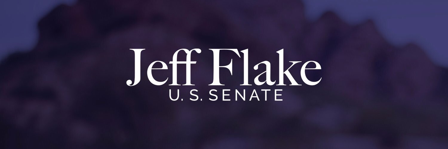 TeamFlake's profile banner image