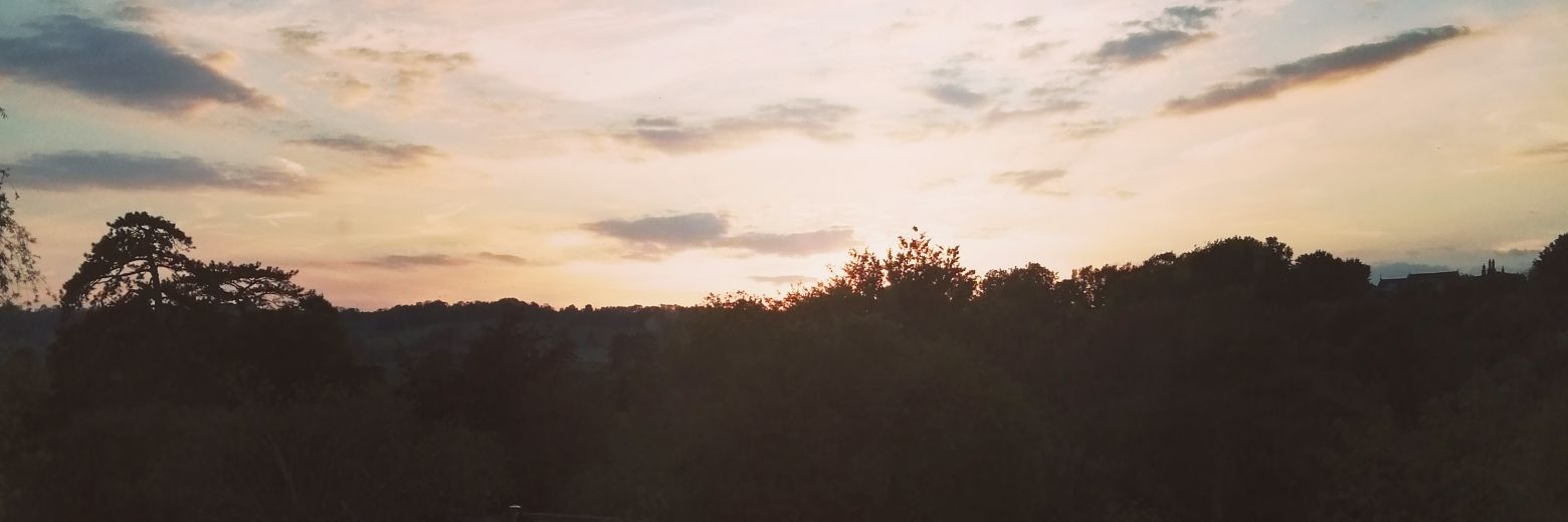 Michaela Arrowsmith banner