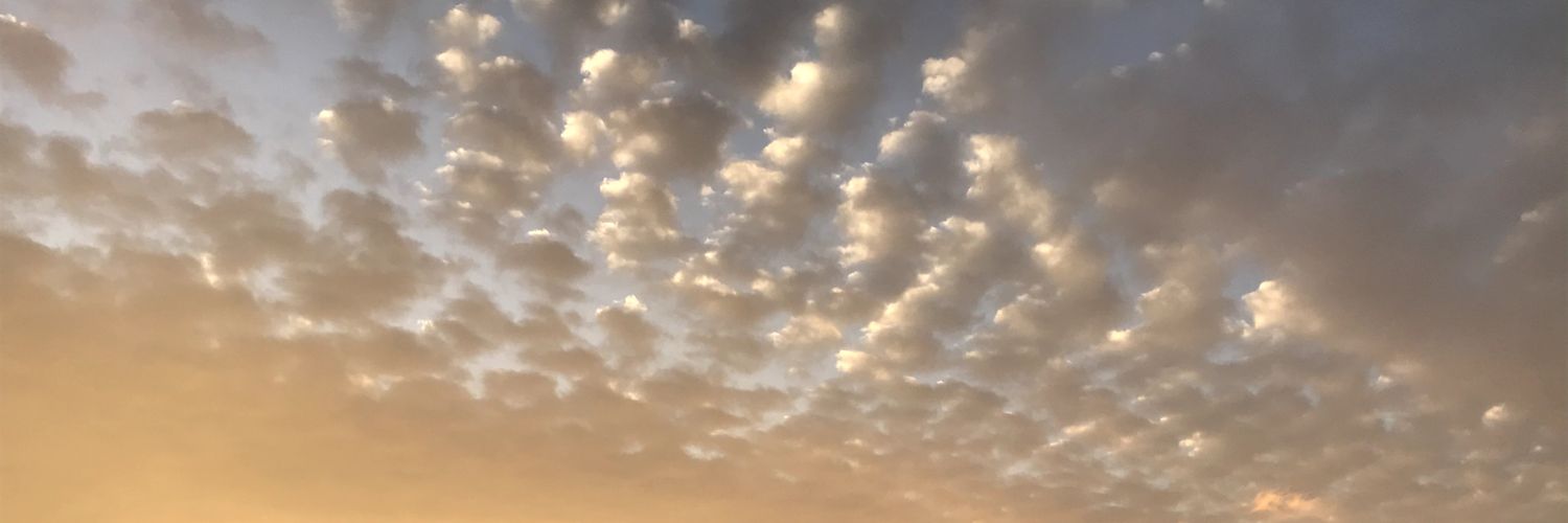 tinymvingparts's profile banner image