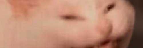 theantipodder's profile banner image