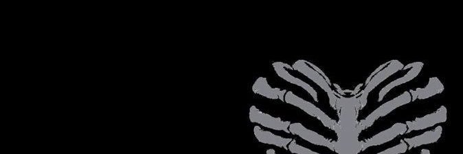 skyflossy's profile banner image