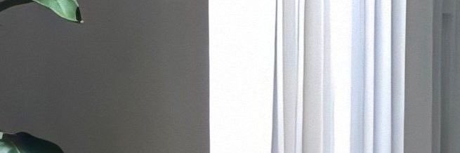 zeshuhua's profile banner image