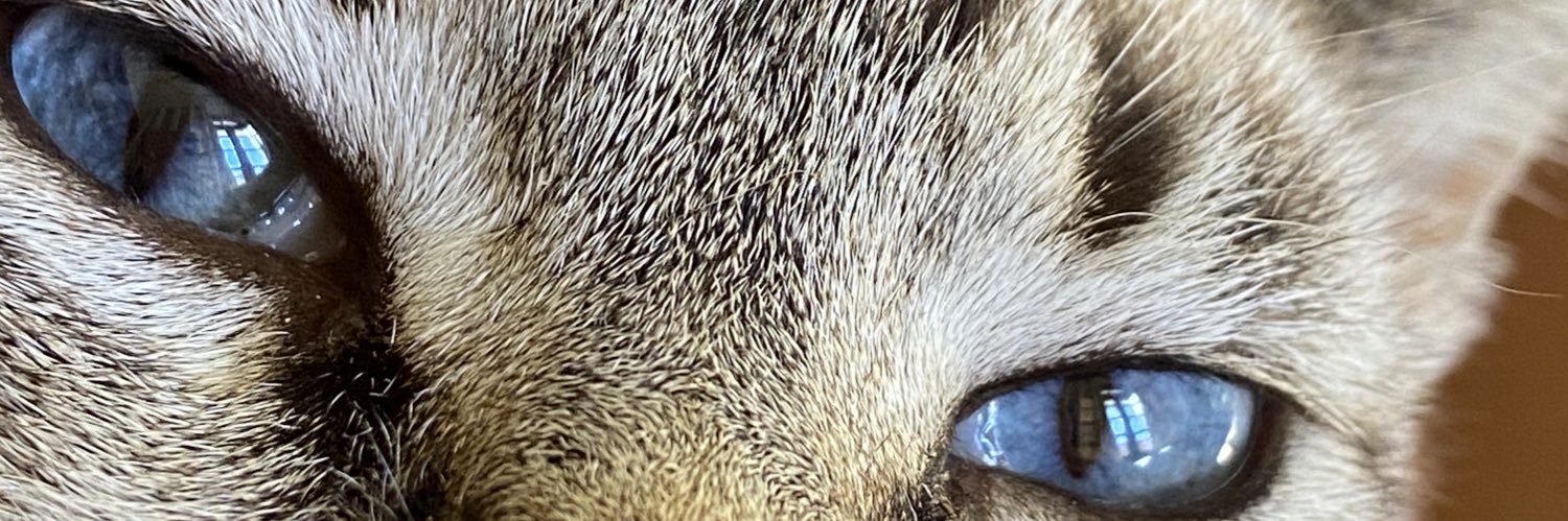 pqpmaluh's profile banner image