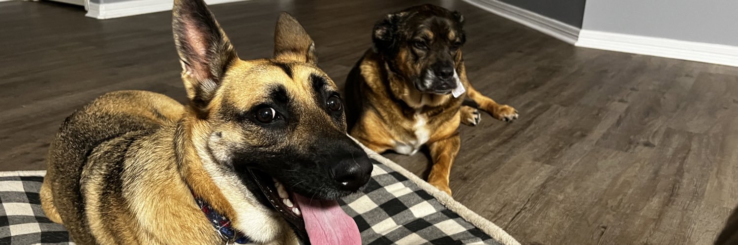 Stephanie Cottle banner