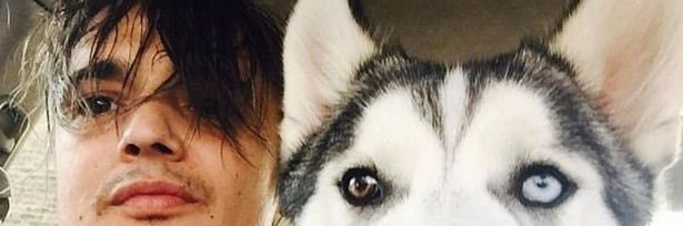 ronanalex banner