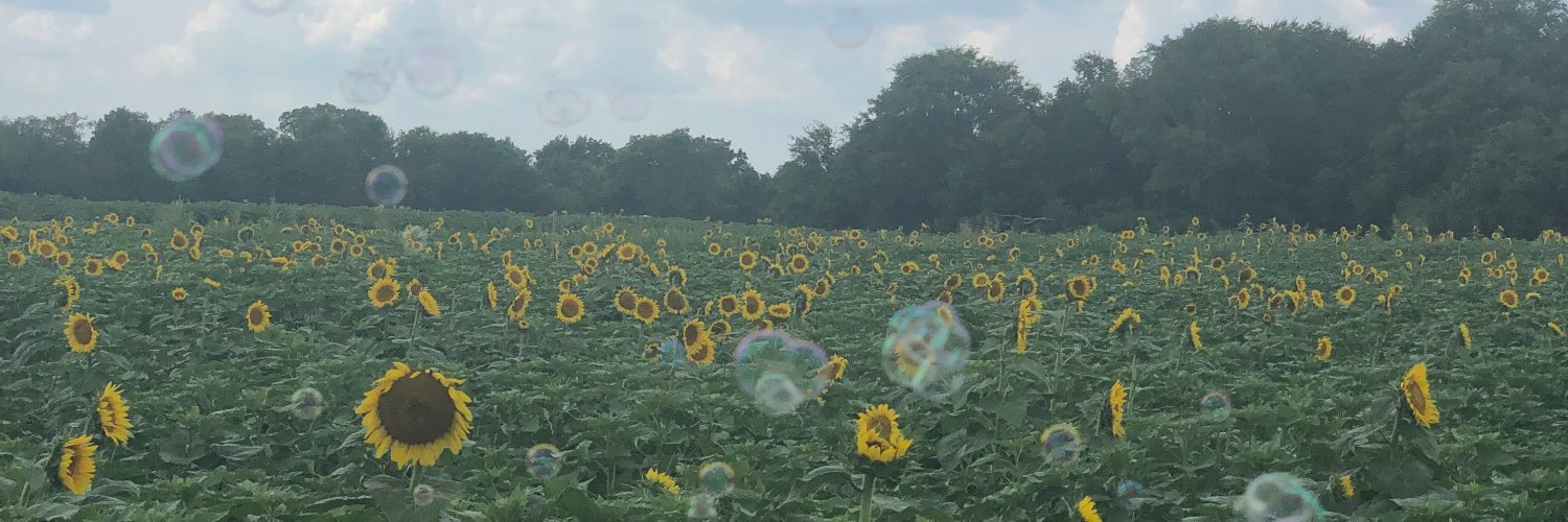 noelletaylorFWT's profile banner image