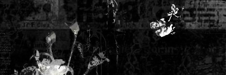 bocasunat's profile banner image