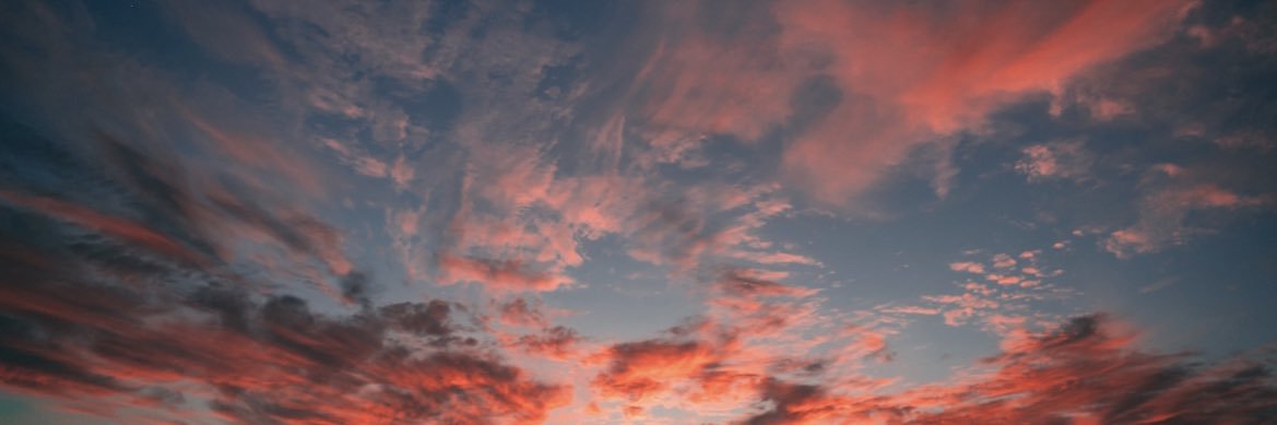 DockensHannah's profile banner image