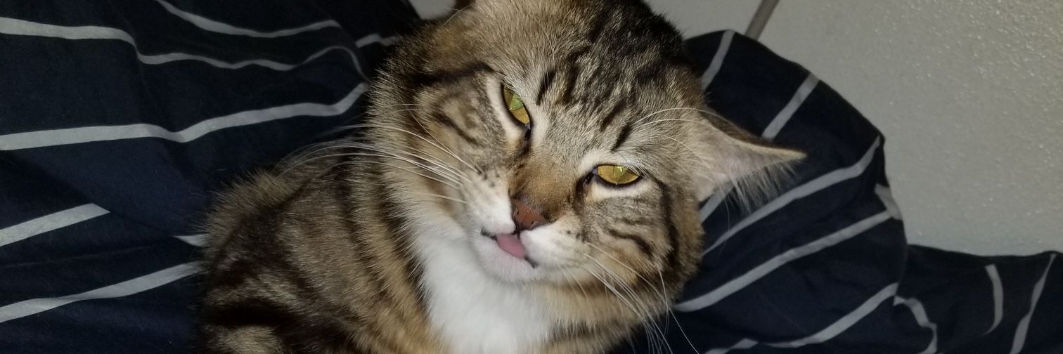mindypence1's profile banner image