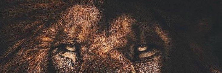 lefty037's profile banner image
