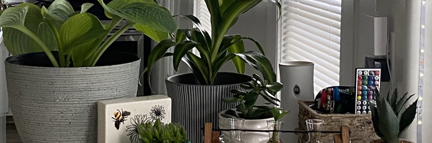 AdrianaAnglon's profile banner image