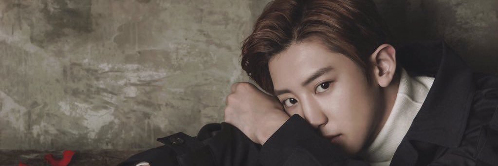 pipidfid's profile banner image