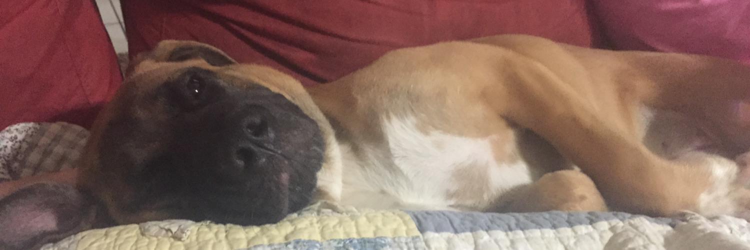 brittanyamoon's profile banner image