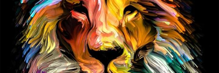 sebasolomin's profile banner image