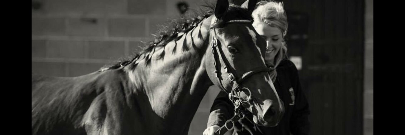 Jodi O’Donoghue banner