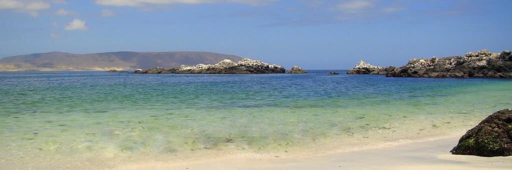 Miguel Vargas Correa banner