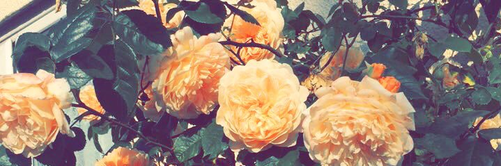 bmohamed96_'s profile banner image