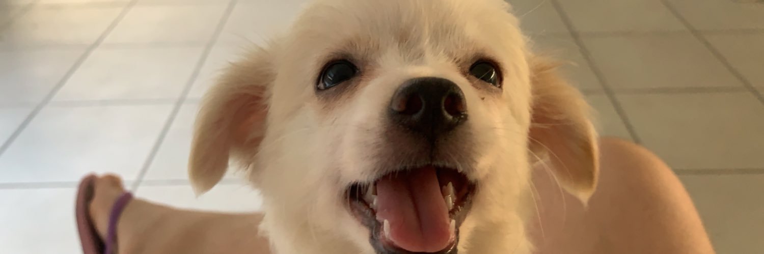 crisllaynefsn's profile banner image