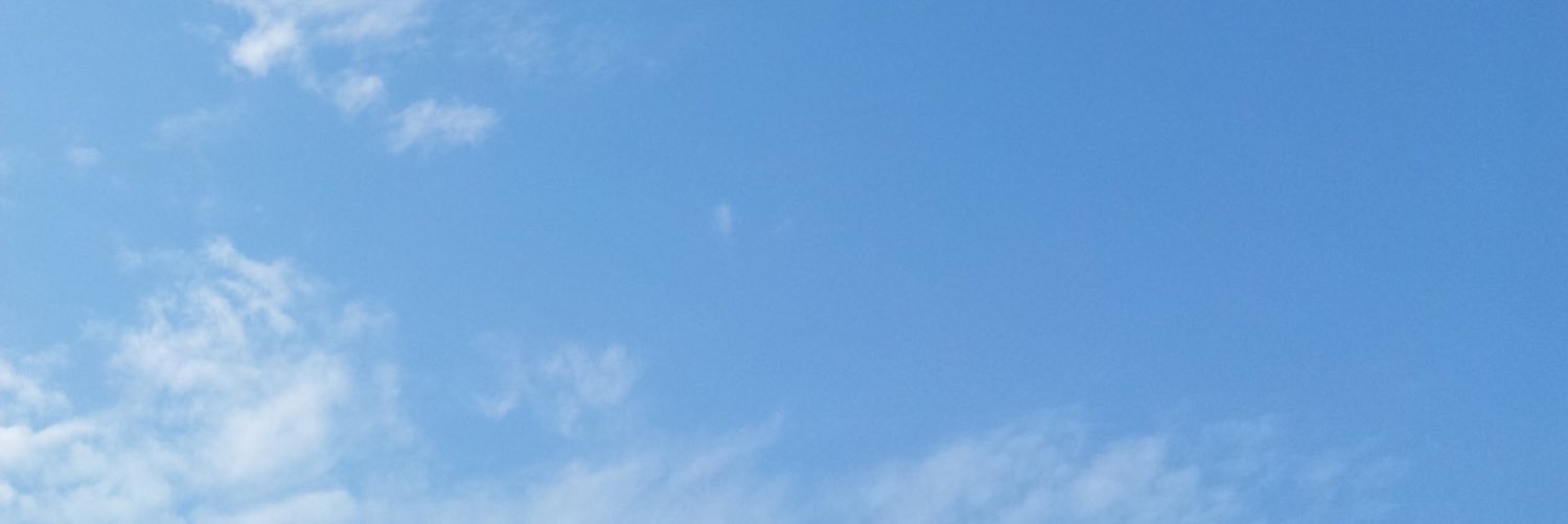 forestoforchids's profile banner image