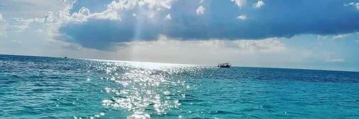 Ray_BellVite's profile banner image