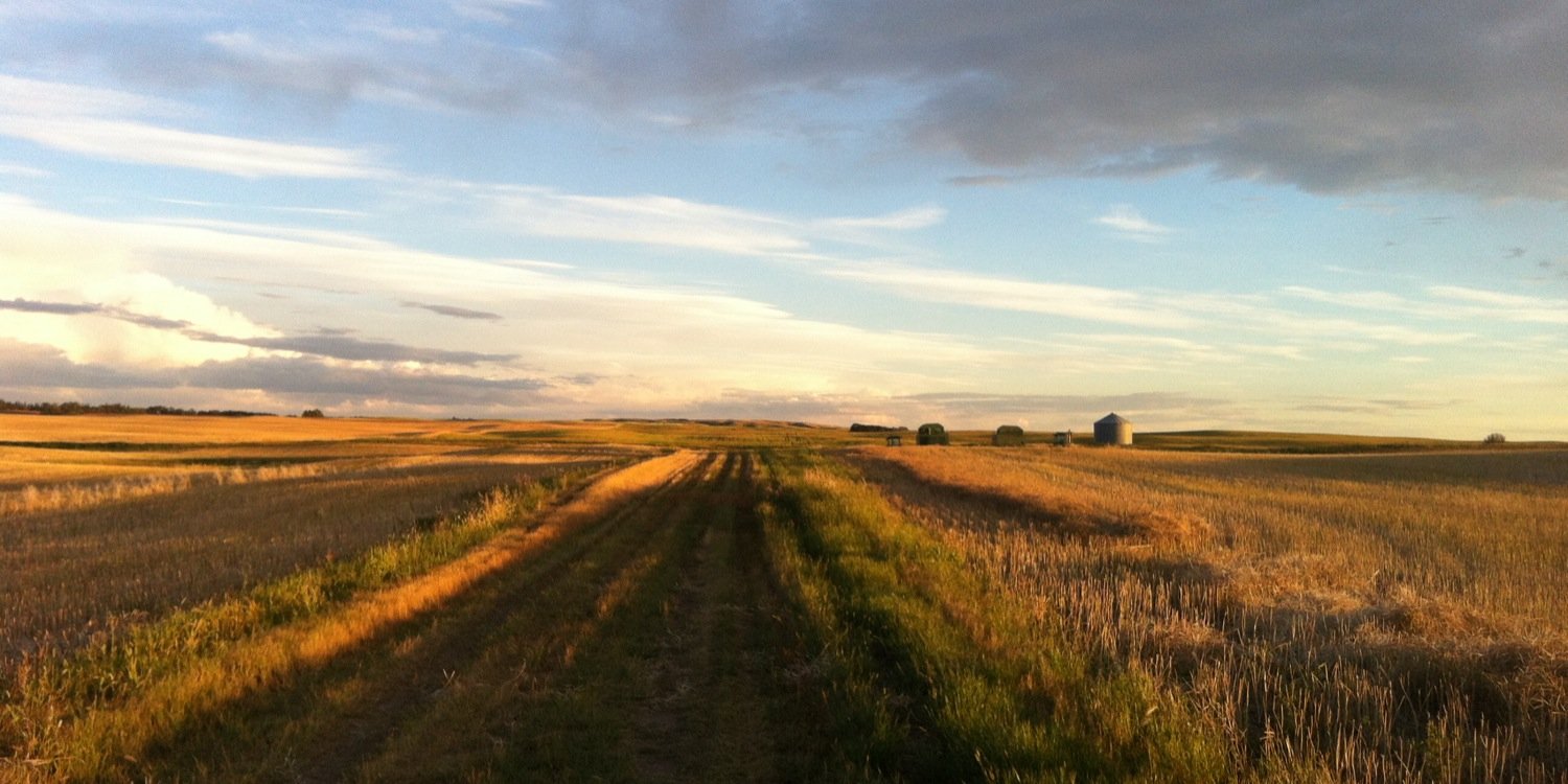 minsawchyn's profile banner image