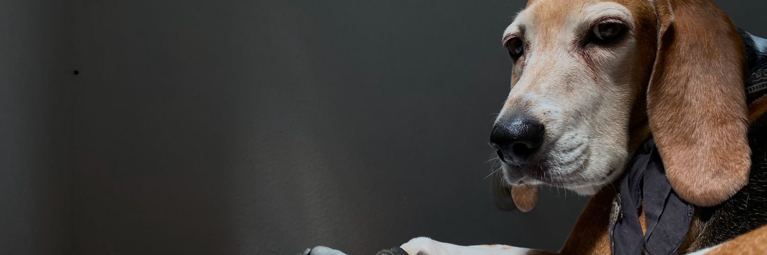 Escurridizo Serna banner